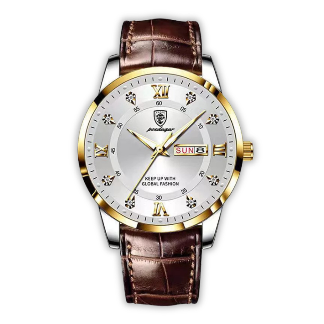 Arden Valor Luminous Leather Watch